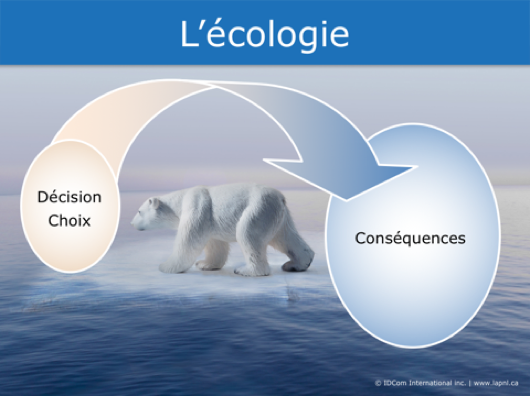 L'écologie