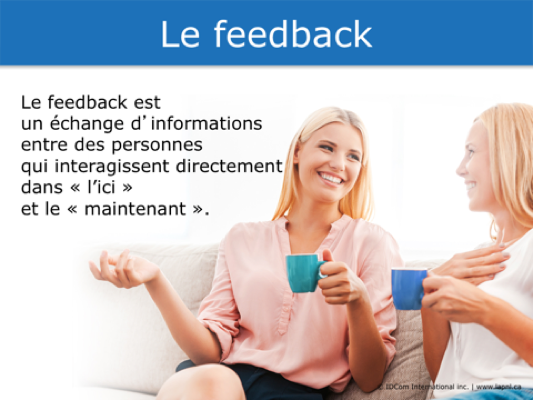 Le feedback