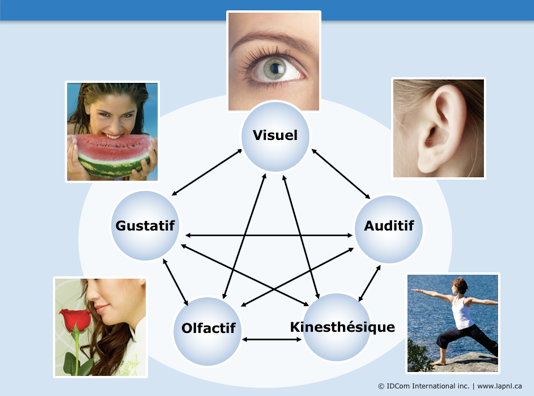 Les modes sensoriels : VAKOG